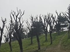 -小意思咖啡店(草桥店)