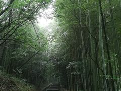 -敬亭山风景名胜区