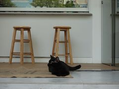 -WATER CAFE(广厦店)