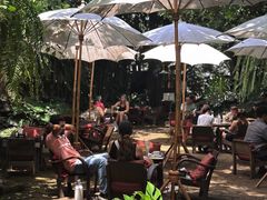 -Fern Forest Cafe
