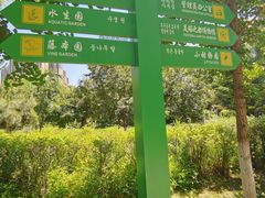 -长白岛森林公园