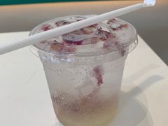 -飞行喵MR PILOT|猫舍·猫咖(静安大融城店)