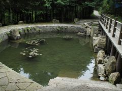 -东天目山风景区