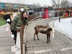 -北京鹿世界主题园