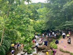-重庆彩云湖湿地公园