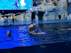 -福州罗源湾海洋世界旅游区