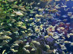 -成都浩海立方海洋公园