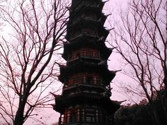 -上海佘山国家森林公园西佘山园