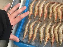 -莆鑫海鲜城(浏河店)