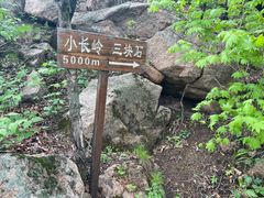 -三块石国家森林公园
