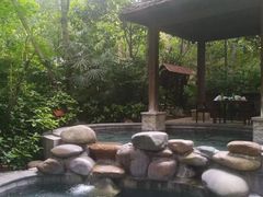 -青城道汤池