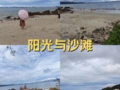 -杨梅坑