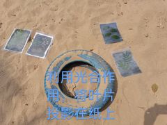 -宁波九龙湖开元度假村