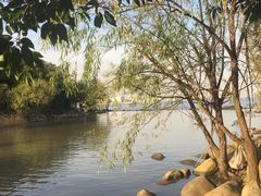 -吴淞炮台湾湿地森林公园烧烤区