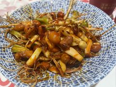 凉拌香菜根-西江红·株洲本地菜(滨江南路店)