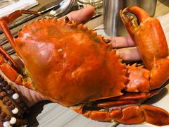 -芽庄洲际酒店自助餐厅