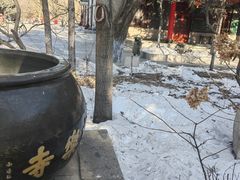 -哈尔滨极乐寺