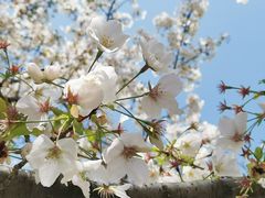 -苏州河梦清园环保主题公园