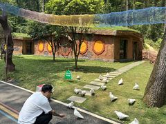 -贵州森林野生动物园
