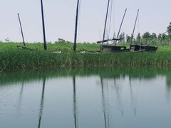 -苏州太湖湖滨国家湿地公园
