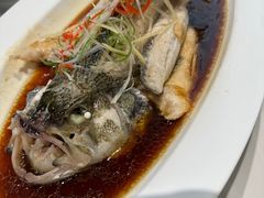 -麻辣婆婆·川菜(少林路店)
