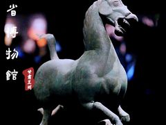 -甘肃省博物馆
