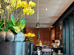 -当米亚诺意大利餐厅(武汉光谷凯悦酒店)