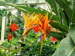 景点-沈阳植物园