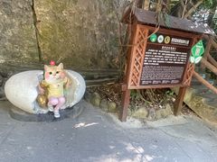 -西双版纳原始森林公园