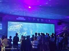 -多彩贵州城极地海洋世界