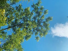 -长春市南湖公园