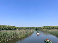-同里国家湿地公园