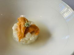 白芦笋老虎胆-蝶舍·MAISON PAPILLON