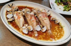 Deep-sea Wild Grouper
