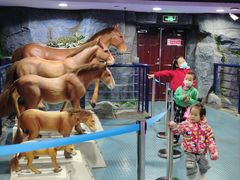 -吉林省自然博物馆