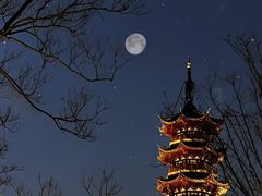 -龙华寺