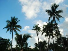 -三亚珠江南田温泉度假区