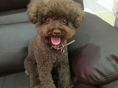 -喵汪宠物生活馆(涞坊路店)