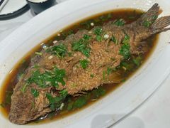 黄河大鲤鱼-梅利汴京烤鸭•开封豫菜地标店(东大街店)