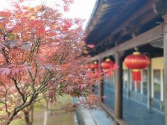 -溪口-滕头旅游景区