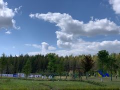 -黄海国家森林公园