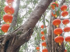 -广州市白云山风景名胜区