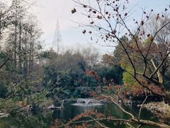 -中山公园