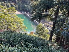 -九龙潭景区