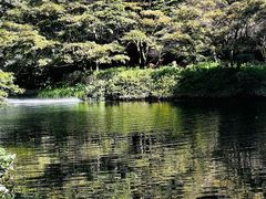 -龙井壹号·茶缘山景宴(龙井村店)