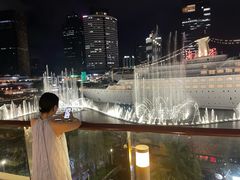 -润园四季椰子鸡火锅(海上世界店)