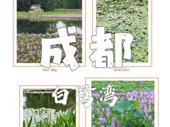 -白鹭湾湿地公园