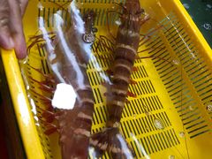 -班赞海鲜市场