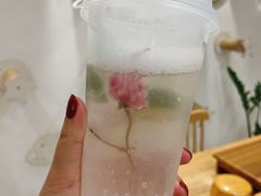 -楼上猫咖(罗湖店)