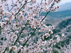 -北京凤凰岭